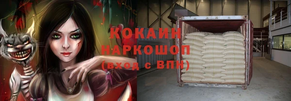индика Баксан