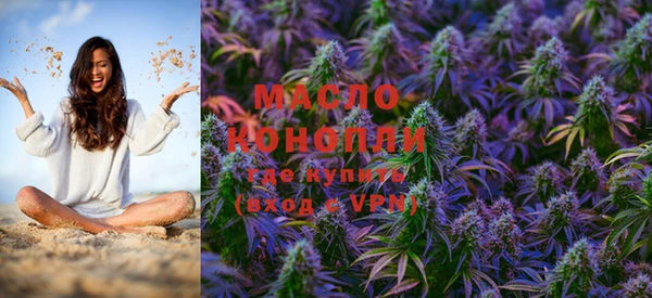 индика Баксан