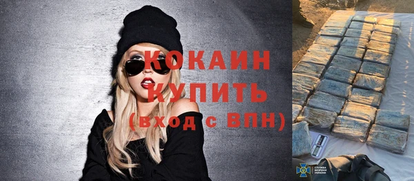 индика Баксан