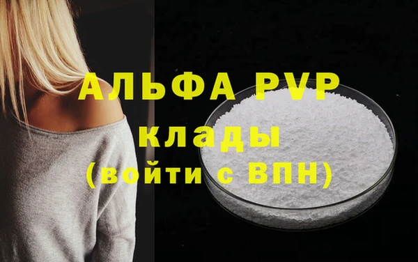 индика Баксан